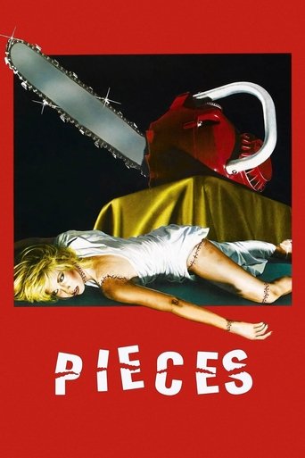 Pieces poster